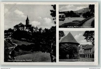 39485719 - Kahla , Elster