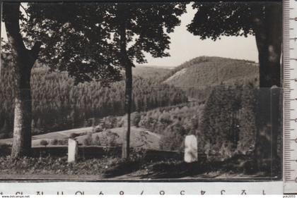 PASKA , Krs. PÖßNECK - Schlingengrund mit Bühl - gelaufen 1963  ( AK 5659)  günstige Versandkosten
