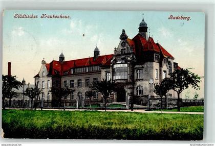 39310659 - Radeberg
