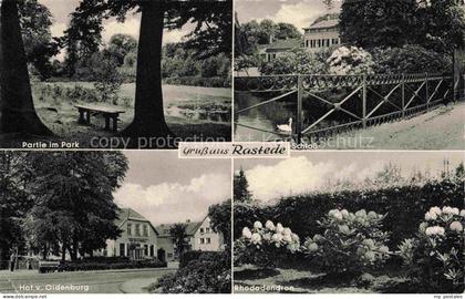 Rastede Partie im Park Schloss Hof von Oldenburg Rhododendron