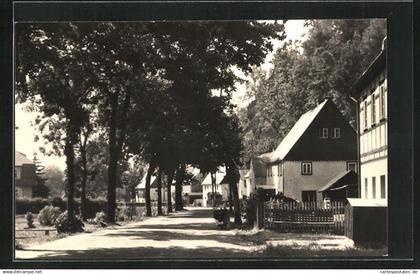AK Rechenberg-Bienenmühle /Erzgeb., Blick in die Hauptstrasse