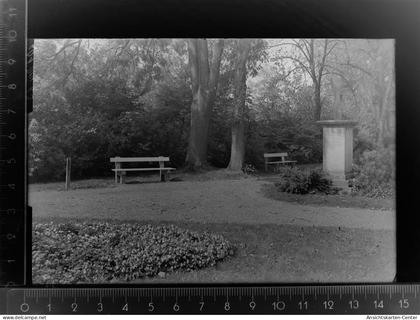 30091477 - Wiedenbrueck