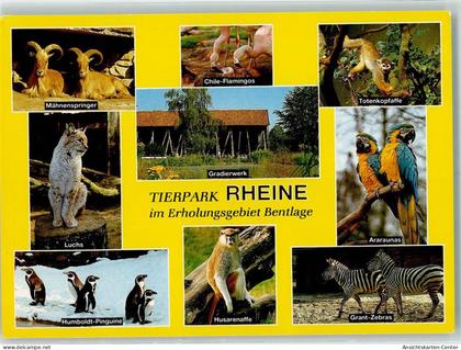 10242017 - Rheine