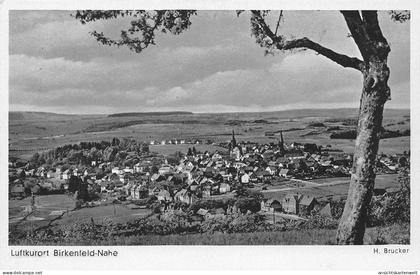 Birkenfeld/Nahe Panorama ngl #197.442