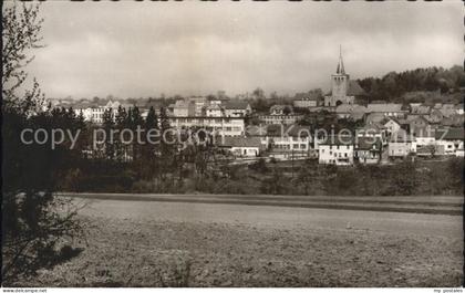Leimen Pfalz Panorama