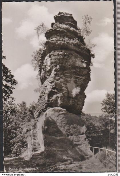 Ruine Blumenstein bei Schönau in der Pfalz - gelaufen 1965 ( AK 7390 )
