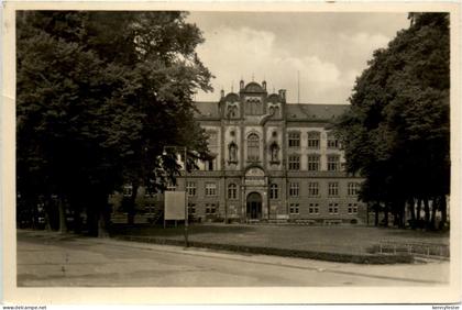 Rostock, Universität