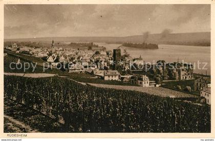 Ruedesheim Rhein Panorama
