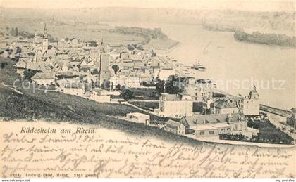 Ruedesheim Rhein Panorama