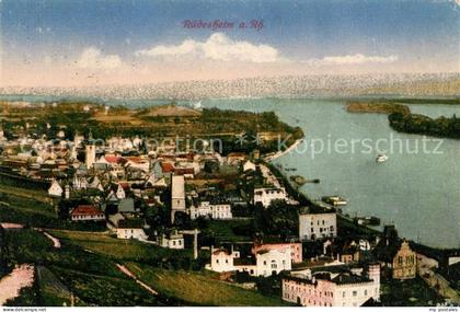 Ruedesheim Rhein Panorama
