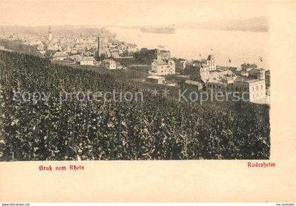 Ruedesheim Rhein Panorama