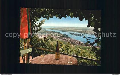 Ruedesheim Rhein Panorama