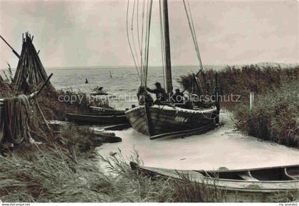Born Haldensleben Bodden Fischerboote Segelboot Schilf Fischer Darss Ostsee Kues
