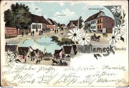 Lithographie Niemegk Kreis Bitterfeld in Saxe Anhalt, Ehemaliger Ort, Heinrich's Gasthof, Friedenseiche