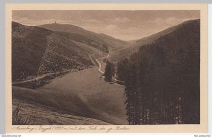 (4429) AK Auersberg, Erzgebirge, Tal der großen Bockau 1931