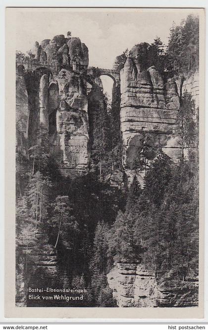 (85505) AK Sächs. Schweiz, Bastei vom Wehlgrund