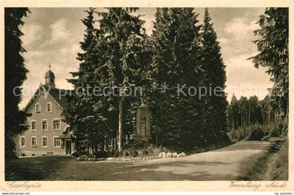 Carolagruen Schoenheide Erzgebirge Panorama