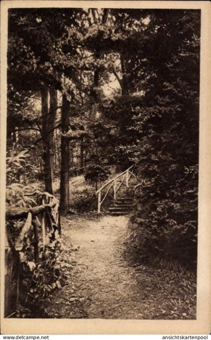 CPA Bad Marienborn Schmeckwitz Räckelwitz Oberlausitz, aus den Anlagen, Treppe