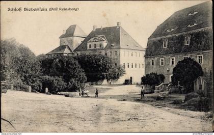 CPA Bieberstein Reinsberg in Sachsen, Schloss