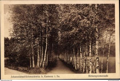 CPA Johannisbad Schmeckwitz Räckelwitz Oberlausitz, Birkenpromenade