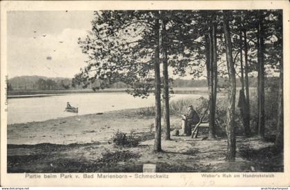 CPA Schmeckwitz Oberlausitz, Parklandschaft, See, Bäume, Bank, Boot, ruhige Szenerie