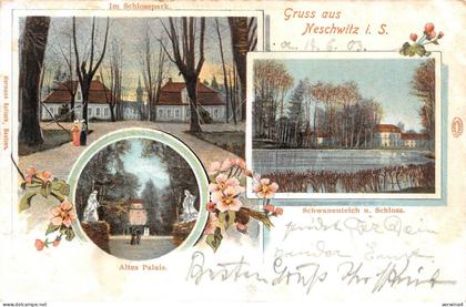 Gruss aus Neschwitz Schwanenteich und Schloss, Altes Palais Sachsen AK 1903