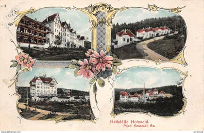 Heilstätte Hohwald bei Neustadt Sachsen Litho Postkarte AK 1911