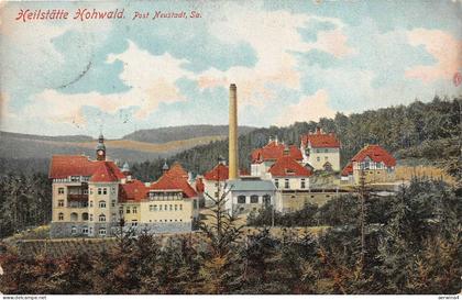 Heilstätte Hohwald bei Neustadt Sachsen Postkarte AK 1911