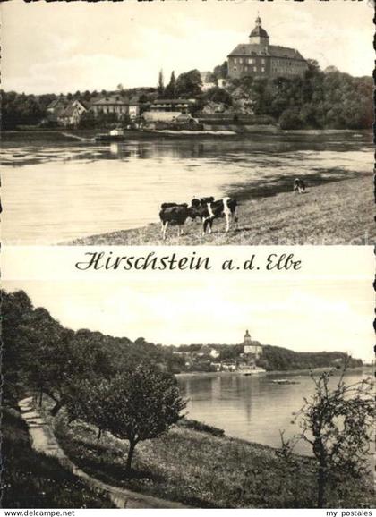 Hirschstein Elbe Riesa Elbpartien