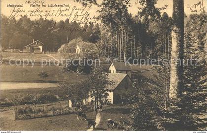 Hohwald Sachsen Partie im Louisenthal