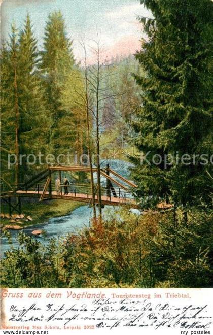 Jocketa Triebtal Steg