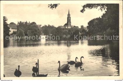 Neugersdorf Sachsen Schwanenteich