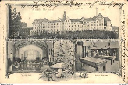Neustadt Sachsen Heilstaette Hohwald Hauptgebaeude Speisesaal Billard Zimmer