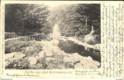 Rabenau Sachsen Rabenauergrund Bachlauf