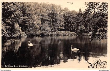 Schlettau Schloßteich gl1943 #195.812