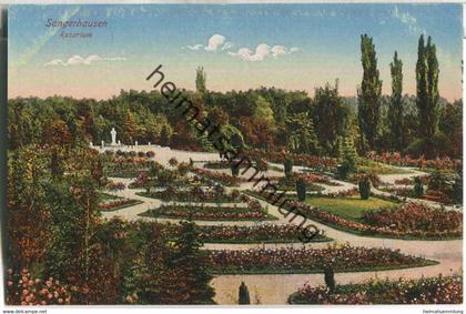 Sangerhausen - Rosarium - Verlag Wilhelm Tacke Sangerhausen