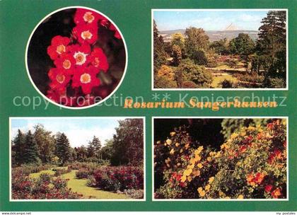 Sangerhausen Suedharz Rosarium