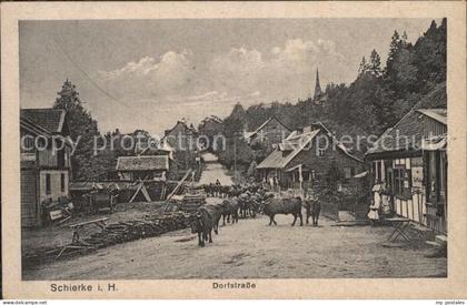 Schierke Harz Dorfstrasse