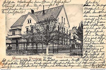 Proskau, Oppeln (Prószków, Opole) - Königl. Pomologisches Institut