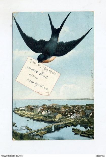 1912 Dt. Reich Farbkarte Gruss aus Eckernförde mit Schwalbe Ansicht aus Vogelperspektive