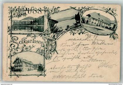 13583739 - Schluchsee