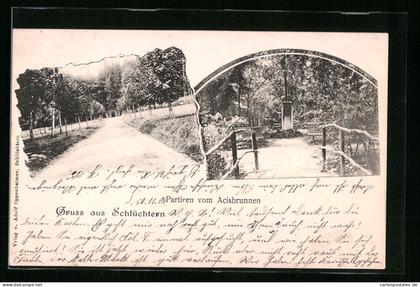 AK Schlüchtern, Partien vom Acisbrunnen