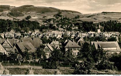 Steinbach Hallenberg Panorama