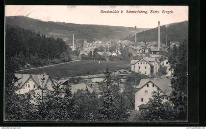 AK Buschmühle b. Schmiedeberg /Sächs. Erzgeb., Ortspartie