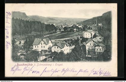 AK Buschmühle bei Schmiedeberg /Erzgeb., Ortsansicht aus der Vogelschau