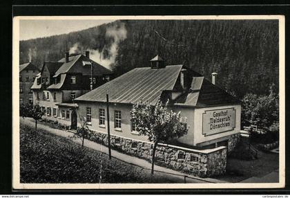 AK Dönschten b. Schmiedeberg i. Erzgeb., Gasthof Waldesruh