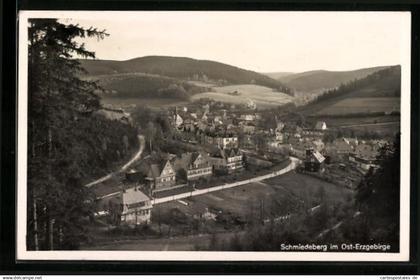 AK Schmiedeberg / Erzgeb., Gesamtansicht