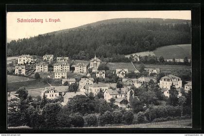 AK Schmiedeberg / Erzgeb., Panoramablick vom Berg