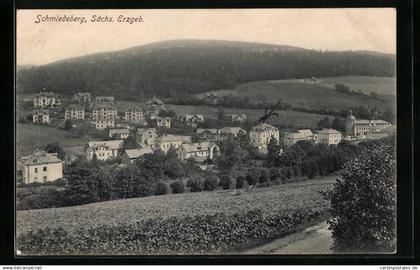 AK Schmiedeberg / Erzgeb., Panoramablick von der Bergwiese