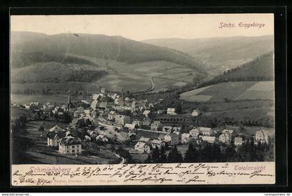 AK Schmiedeberg / Erzgeb., Totalansicht